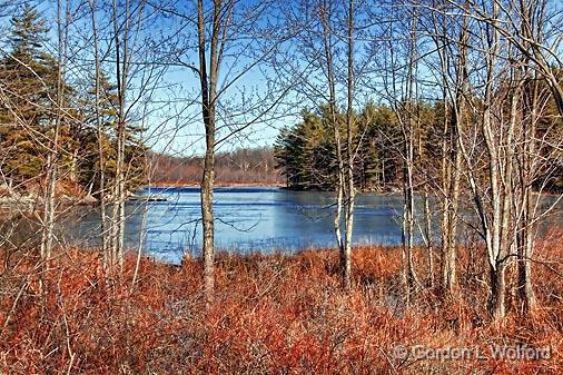 Frontenac Axis Scene_15211.jpg - Photographed in the Land o' Lakes region of Ontario, Canada.